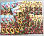 15 Pack LA CHICA FRESITA Air Freshener Deodorant Strawberry - $38.99