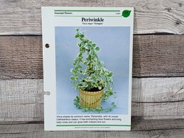 Periwinkle Card #13 Success W/House Plants 1985 Single Replacement Fold ... - £2.63 GBP