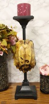 Large Nautical Reptile Exotic Turtle Shell Pillar Candle Holder Statue 1... - $69.99