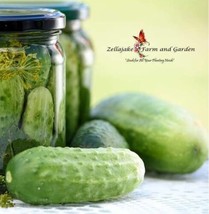 30 National Pickling Cucumber Heirloom Vegetable Seeds - £14.57 GBP