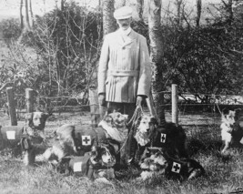 British Red Cross War Dogs Lt. Col. Edwin Richardson WW1 8x10 World War ... - £7.05 GBP