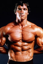 Arnold Schwarzenegger Barechested Muscleman Weight Lifting Pose 18x24 Poster - $23.99
