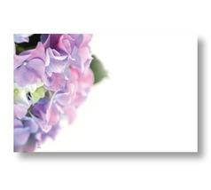 50 Blank Hydrangea Enclosure Cards and Envelopes For Gifts Flowers Messages - $19.95