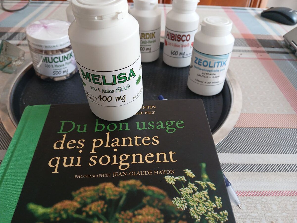 10 Bottles, Lemon Balm Capsules 400mg: Vegan Herbal Supplement, Relaxation - 120 Item image 13