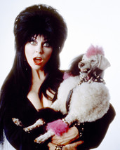  Cassandra Peterson in Elvira: Mistress of The Dark Holding Poodle Dog 16x20 Can - £55.94 GBP