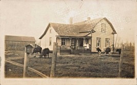 Marengo Wisconsin ~ House-Young Ragazze Su Porch-Cows IN Yard ~ Vero Foto - £5.50 GBP