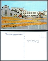 FLORIDA Postcard - Minute Maid Orange Juice Processing Plant M23 - £2.36 GBP