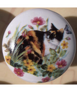 Cabinet Knobs w/ Kitten Calico in Flowers #1 - $7.12 CAD