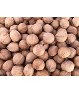 2024 AR Shagbark Hickory Nuts  2 Lbs Bag Organic - £18.07 GBP