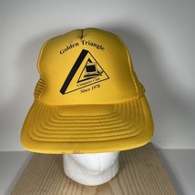 Vintage Snap Back Hat Golden Triangle Computer Club Retro Computing - $170.74 MXN