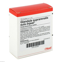 Glandula Suprarenalis suis Injeel Ampoules 10 pcs - £76.12 GBP