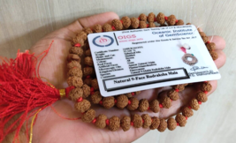 9 perline Mukhi Rudraksha Mala Durga Shakti Mala 109 certificate in laboratorio - £25.13 GBP