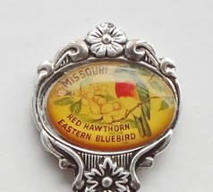 Collector Souvenir Spoon USA Missouri Red Hawthorn Eastern Bluebird Celest - £5.58 GBP
