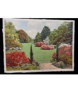 View Of Magnolia Gardens Charleston South Carolina SC Unposted Vintage P... - $262.86 MXN
