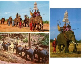 3 Color Postcards Thailand War Elephants Parade Working Logging Camp Unp... - £3.90 GBP