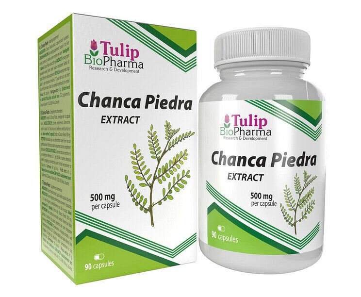 Primary image for Chanca Piedra 500 mg 90 Capsules Stone Breaker Pure material