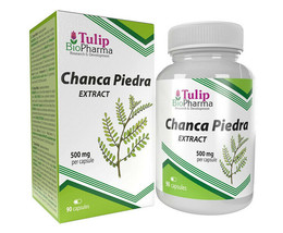 Chanca Piedra 500 mg 90 Capsules Stone Breaker Pure material - $26.80