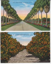 (2) Vintage RIO GRANDE VALLEY &quot;Natural Color Card&quot; Postcards - E.C. Krop... - $10.79