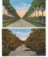 (2) Vintage RIO GRANDE VALLEY &quot;Natural Color Card&quot; Postcards - E.C. Krop... - $204.23 MXN