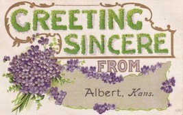 Greeting Sincere From Albert Kansas 1910 Postcard E25 - $9.99