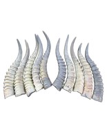 1 Blesbok Horn, African Antelope Horn Size Approx. 14&quot; (measured straight) - €25,79 EUR