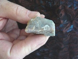 (DF833-6) 1 Oz Fossil Real Dinosaur Poop Coprolite Dino Utah Jurassic Dung Scat - £9.77 GBP