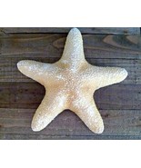 Giant Mud Jungle Starfish 9 - 10&quot; from Philippines natural gifts dried s... - €25,87 EUR