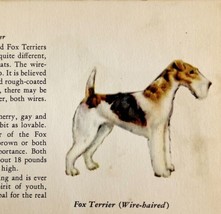 Fox Terrier Wire Haired 1939 Dog Breed Art Ole Larsen Color Plate Print ... - $29.99