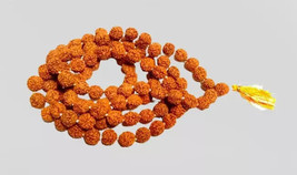 YOGA HEALING 5 PERLES MUKHI RUDRAKSHA MALA 5 FACE RUDRAKSH 8 MM TAILLE E... - £13.56 GBP