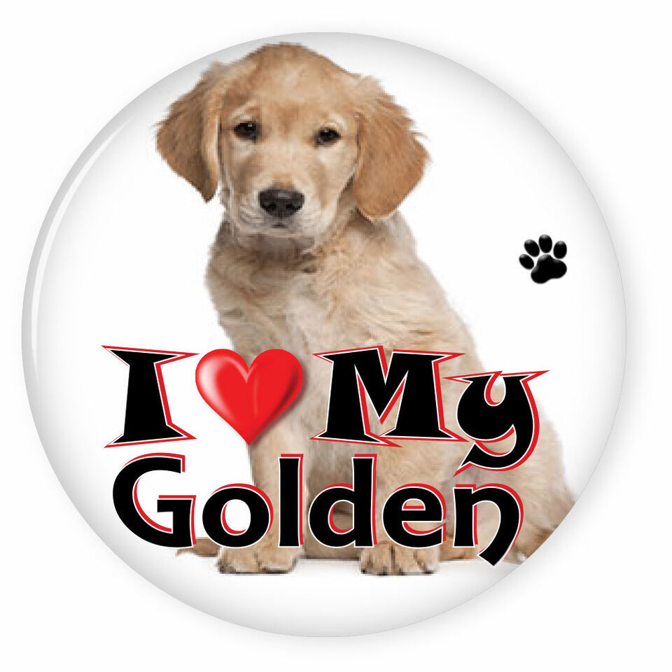 I LOVE MY GOLDEN RETRIEVER DOG PUPPY 3&quot; SAFETY PIN BACK BUTTON - $6.29