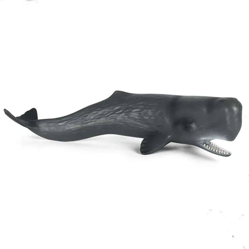 Simulation Marine Life Model Toy Sperm Whale Shark Early Childhood Education - £24.22 GBP