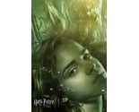 2005 Harry Potter and the Goblet Of Fire Movie Poster Print Hermione Ron  - $7.08