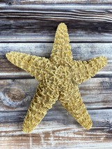 Real Starfish Seashell - Dried Desiccated - 5.25&quot; - Nautical Decor - $14.50