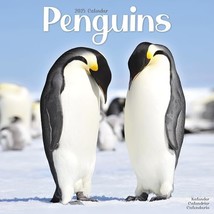 Penguins 2025 Square Wall Calendar | Animal, Wildlife Calendar: Original... - $17.00