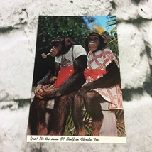 Postcard Collectible Vintage Courtesy Monkey Jungle Miami Florida - £5.19 GBP