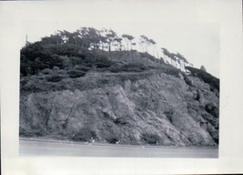 Trees On Top Of A Rocky Hill Along A Road 1950 - £1.56 GBP
