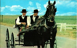 Vintage Postcard Amish Men Courting Buggy Lancaster Pennsylvania Lusterchrome - £4.71 GBP