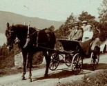 Vtg Postcard RPPC 1900s Richel &amp; His Horse Rhubarb - Horsedrawn Carriage - £5.41 GBP