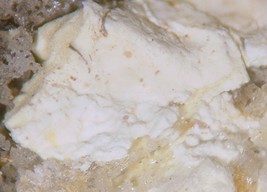 COCONINOITE - Type Locality Uranium - Jomac Mine, San Juan County, UTAH - $1,587.96 MXN