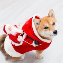 Festive Green Elf Pet Dog Christmas Costume - £16.63 GBP+