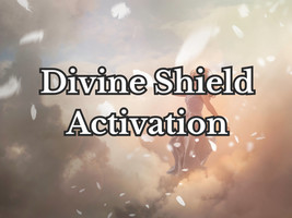 Divine Shield Activation - $24.00