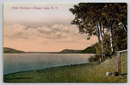 Point Florence Otsego Lake NY Cooperstown New York Postcard O26 - £7.86 GBP