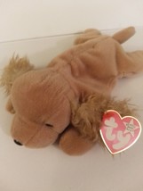 Ty Beanie Babies Spunky the Cocker Spaniel Dog Retired 7&quot; Long Mint With... - £11.84 GBP