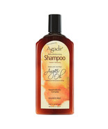 Agadir Argan Oil Daily Moisturizing Shampoo 12.4 fl oz - £11.82 GBP