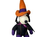 Whitman&#39;s Peanuts SNOOPY Trick or Treater &amp; Witch Stuffed Plush Toys Pre... - £5.83 GBP