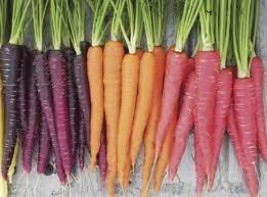 100 Seeds Heirloom Rainbow Yellow White Purple Orange Red Carrot Vegetable - $10.54