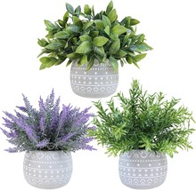 Set Of 3 Winlyn Faux Potted Plants - Man-Made Lavender Flower, Rosemary, And - $39.96