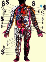 1889 Human anatomy with Dollars signs on side quality 18x24 Poster.Decorative Ar - £21.89 GBP