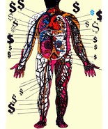 1889 Human anatomy with Dollars signs on side quality 18x24 Poster.Decorative Ar - £22.45 GBP