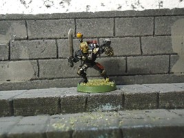 imperial agents eversor with severed head assassin metal warhammer 40K - $31.50